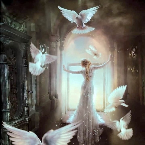 Meet your Posher, Live2thrift - Picture 1 of 1